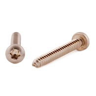 PH TORX Pladeskrue Din 7981 A4